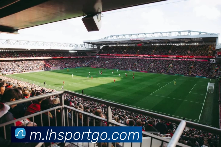 App Interface Preview